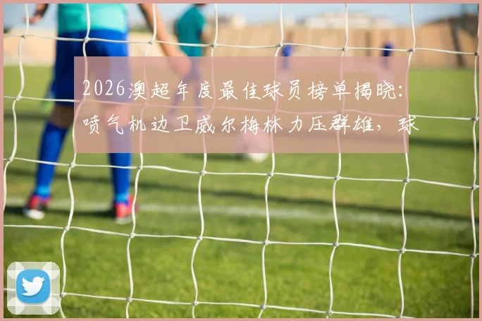 2026澳超年度最佳球员榜单揭晓:喷气机边卫威尔梅林力压群雄,球迷票选结果深度解读与球员特点全解析