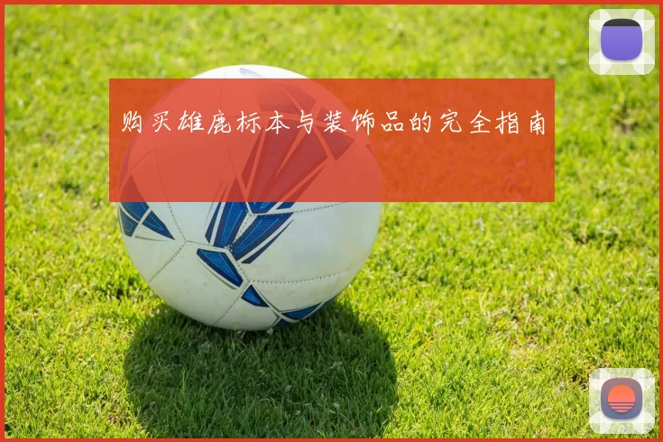 购买雄鹿标本与装饰品的完全指南